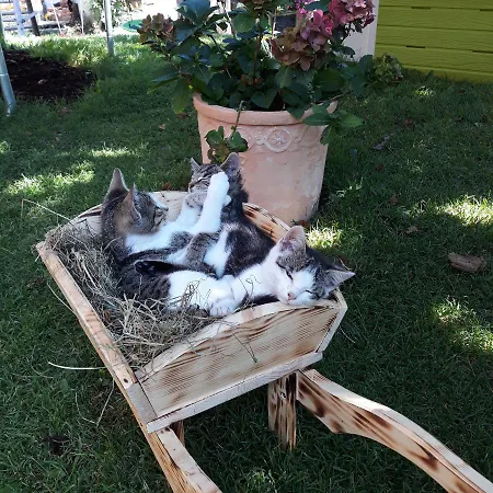 Apartment Appartments Jandlbauer *