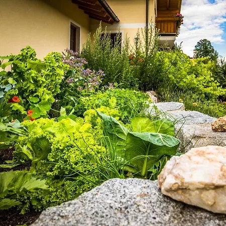 Appartments Jandlbauer * Wagrain