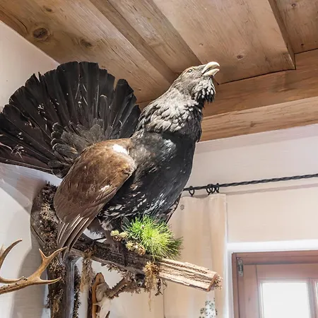 Appartments Jandlbauer *