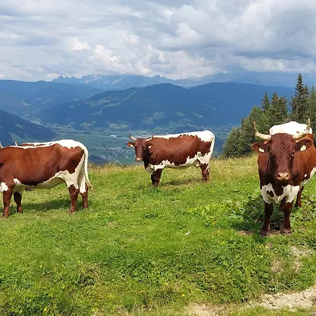Appartments Jandlbauer *