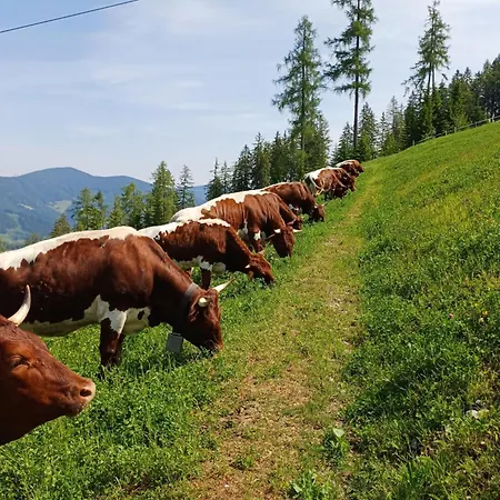 Appartments Jandlbauer
