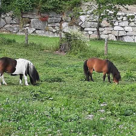 Apartment Appartments Jandlbauer